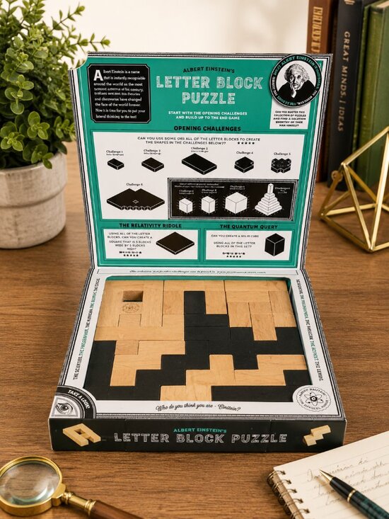 Professor Puzzle Other - Professor Puzzle Einstein Collection Letter Blocks 3D Brain Teaser 12 Challenges
